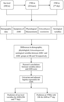 Acute Mountain Sickness Is Associated With a High Ratio of Endogenous Testosterone to Estradiol After High-Altitude Exposure at 3,700 m in Young Chinese Men